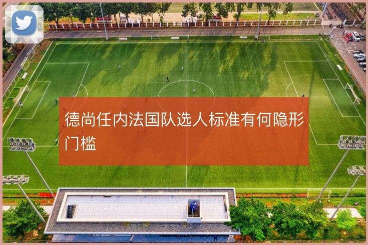 德尚任内法国队选人标准有何隐形门槛