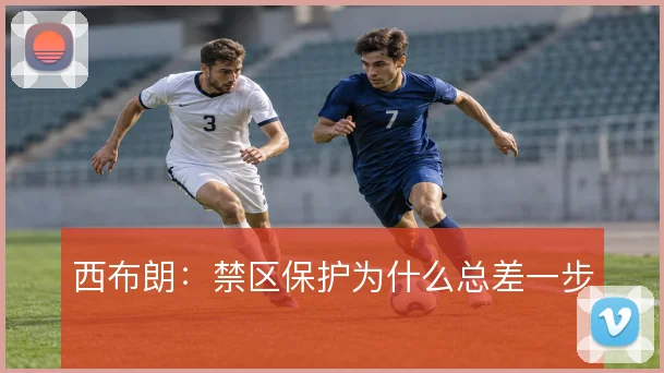 西布朗:禁区保护为什么总差一步