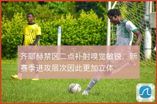 齐耶赫禁区二点补射嗅觉敏锐,新赛季进攻层次因此更加立体