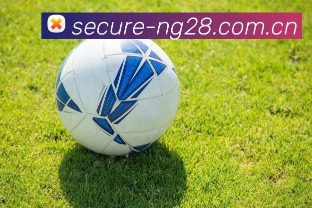 NG28APP 封面图